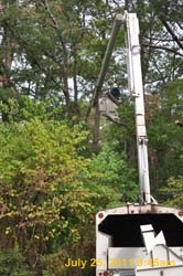 Entergy 103